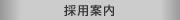 �̗p�ē�
