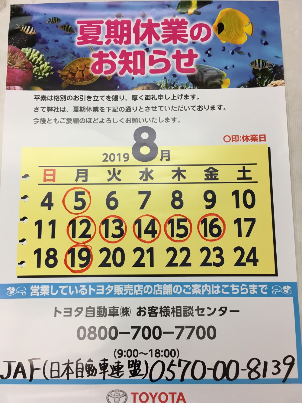 柳川店｜店舗ブログ｜福岡トヨタ自動車